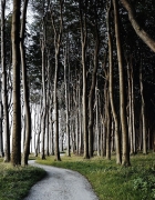 Spiritual Awakening for the Sceptic Professional: How Getting in Touch with Yourself Can Make You Better