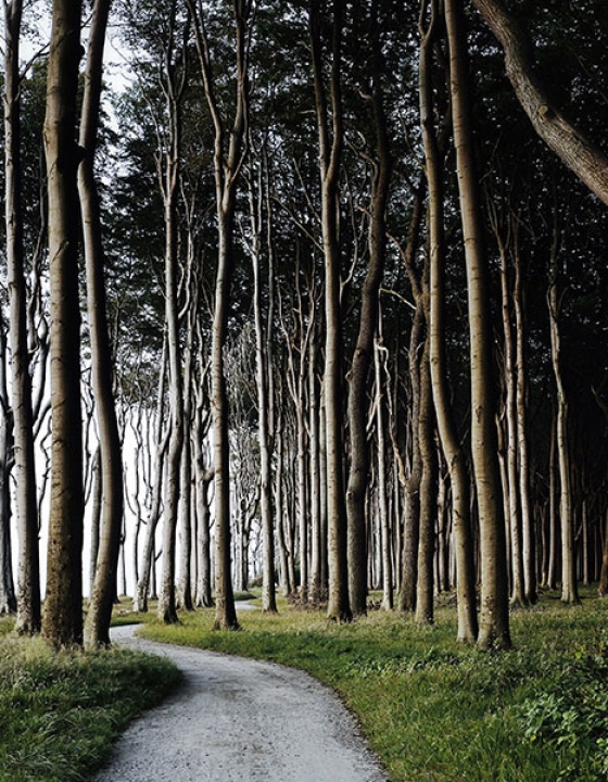 How To Create A Career Transition Roadmap Using Spiritual Principles